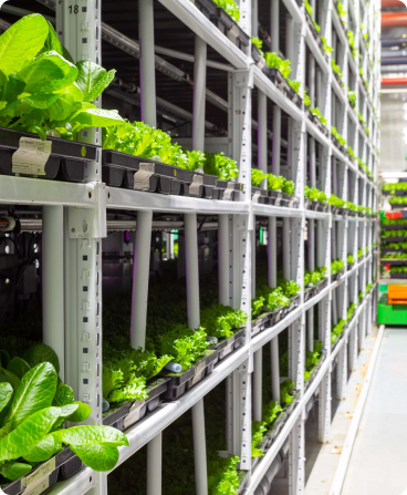 Image : Agriculture Industries